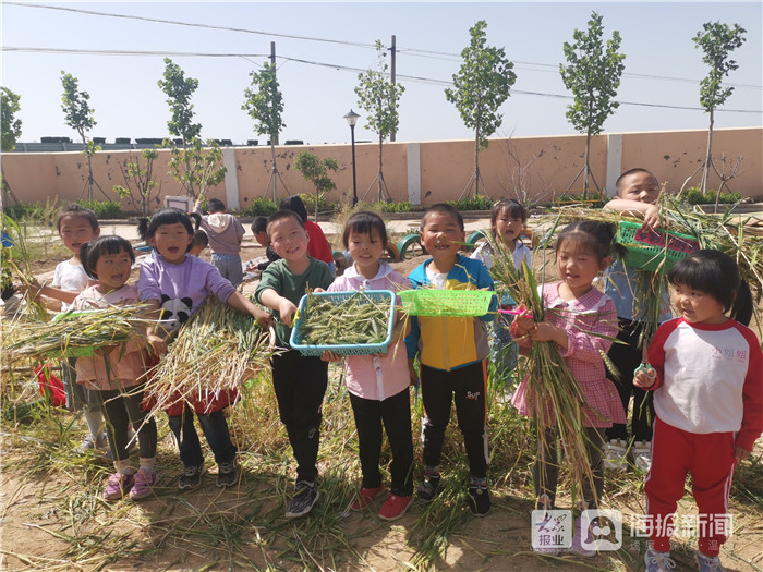 利津县陈庄镇付窝幼儿园体验劳动艰辛 培养勤俭节约好习惯